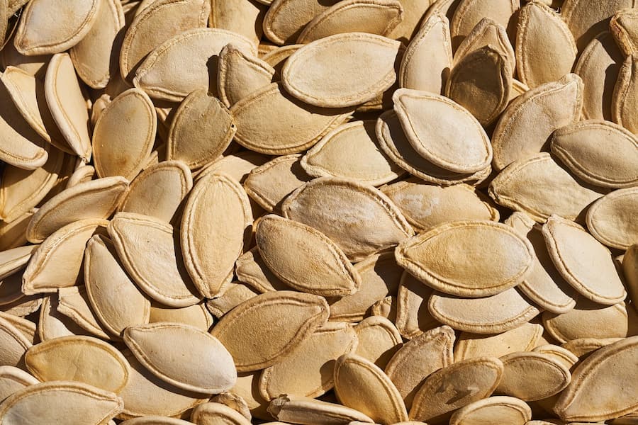 Close-up of dried pumpkin seeds