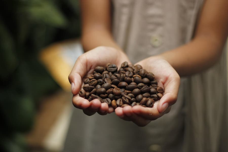 a handful of raw almonds in cupped hands