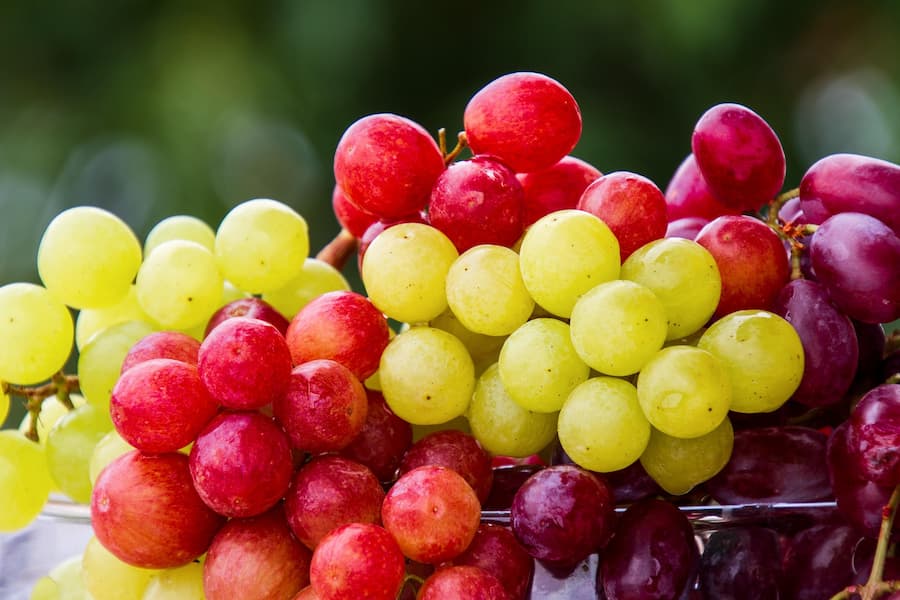 Bunches of fresh green, red and purple grapes